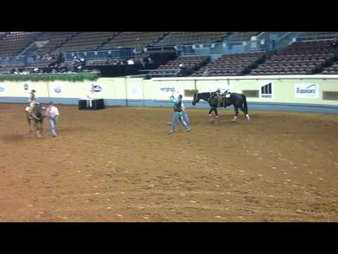 AQHA World Show Awards