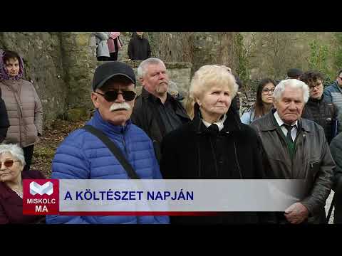 Videó előnézet