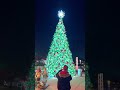 Christmas Tree Lighting Countdown