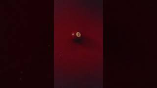 Vegas, conspiracy or madman