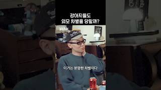 우리 집 강아지는 그래서 그랬구나