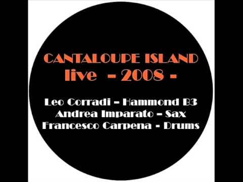 CANTALOUPE ISLAND - Francesco Carpena and Leonardo Corradi Trio