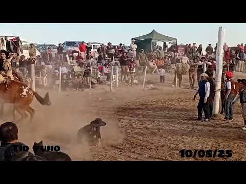 Festival de jineteada en tío pujio 10/08/25