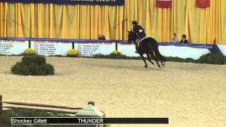 1412 THUNDER Shockey Gillett, Class 302 Field Hunters 36 & Over