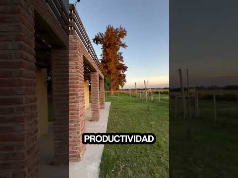 Campo en venta Paso del Bote Los Cerrillos Canelones 🌾Contáctame y visita tu próximo campo‼️
