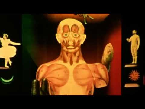 Moo Moonster - This Is The Time (Videoclip Oficial)