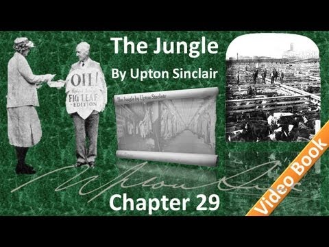 , title : 'Chapter 29 - The Jungle by Upton Sinclair'