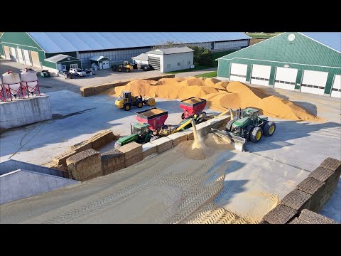 Grinding 10,000 ton of corn!!