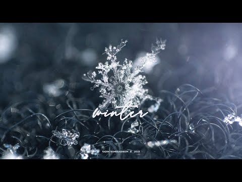 Vadim Bonkrashkov - Winter (Official Music Video)