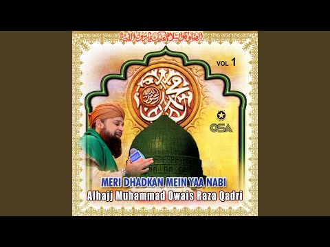 Tajdaar-e-Haram Ae