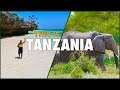 TANZANIA ZANZIBAR Ultimate Travel Guide To PARADISE ISLAND SAFARI