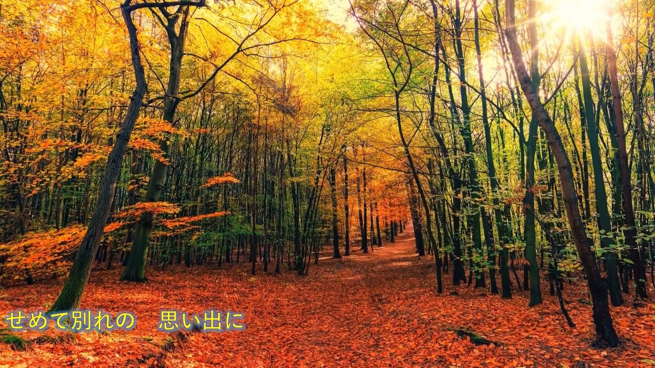 ヴィレッジシンガーズ　落ち葉とくちづけ　リメイク版　歌詞付き