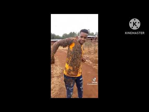 አለምን ያስደነገጠ....ንቦችን በፍቅር ያሳበደው ኢትዮጵያዊ