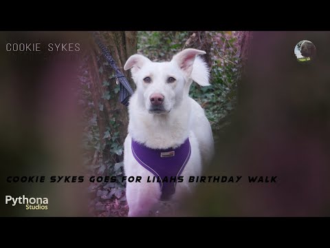 Cookie Sykes Goes for Lilahs Birthday Walk