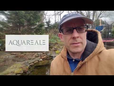 How to keep algae out of your pond