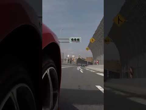 Thumbnail for I still like the sound of Lamborghini by Tifosi