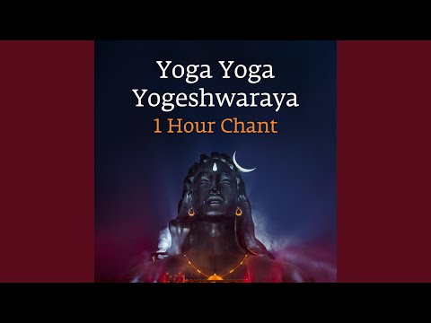 Yoga Yoga Yogeshwaraya