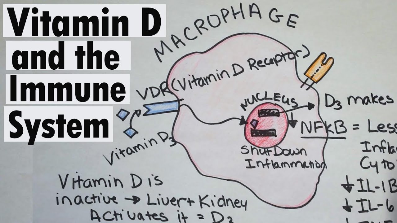 Vitamin D and the Immune system