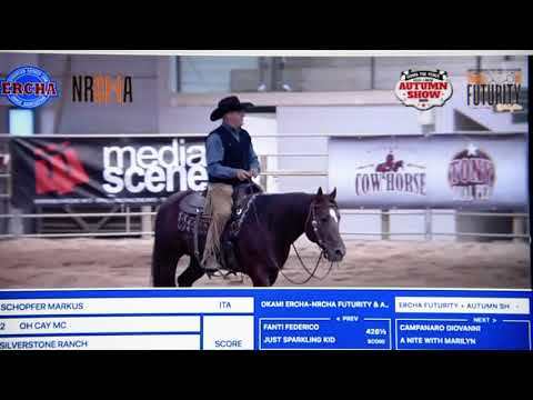 OH CAY MC aka MARIO 2020 Okami Ranch ERCHA/NRCHA Autumn Show Open Champion