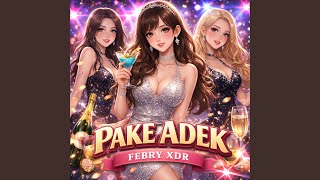 Download lagu Pake Adek mp3