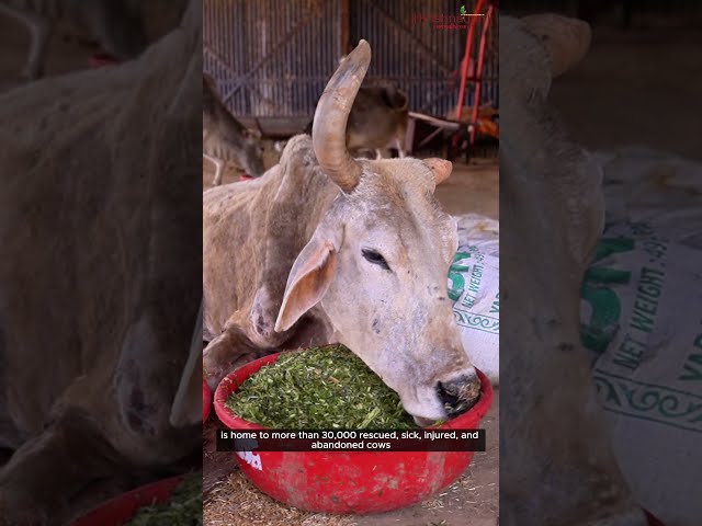 About Krishnayan Video Thumbnail