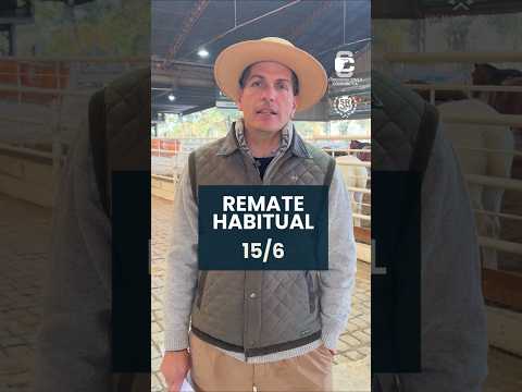 Remate habitual 15/6/2026.