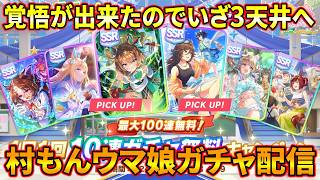【ウマ娘】サポートガチャの続き