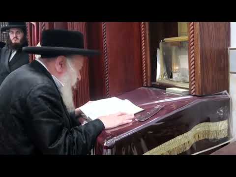 Deizh Rebbe Counting Sefira - Iyar 5783