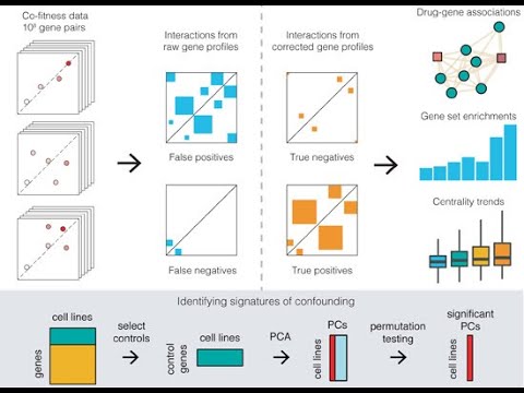 High‐resolution mapping of cancer cell networks using co‐functional interactions - Stanford Genetics