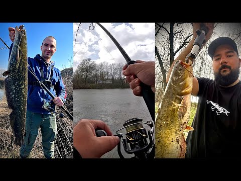 Zapadna Morava se prva budi. Kada i gde se javlja som? | Prolecno pecanje soma | Catfish fishing
