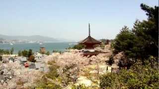 preview picture of video '[Voyage Japon] Miyajima'