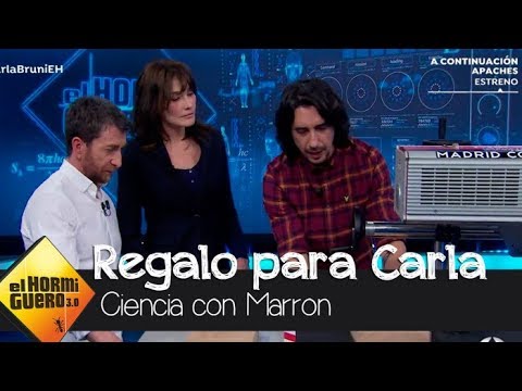 El regalo de Marron que ha emocionado a Carla Bruni - El Hormiguero 3.0