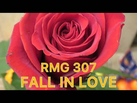 RMG 307 - FALL IN LOVE [prod. by RMG 307] (OFFICIAL MUSIC VIDEO)