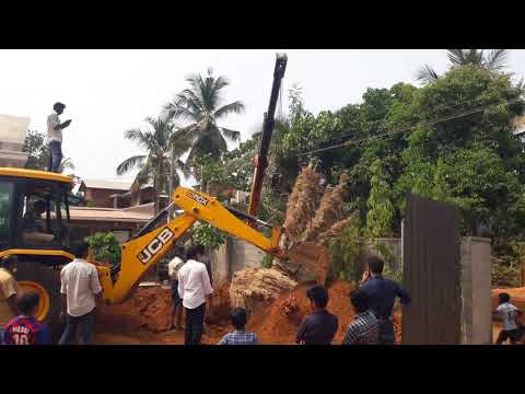 Tree transplantation / Tree Transplanting / Tree relocation in Kerala India