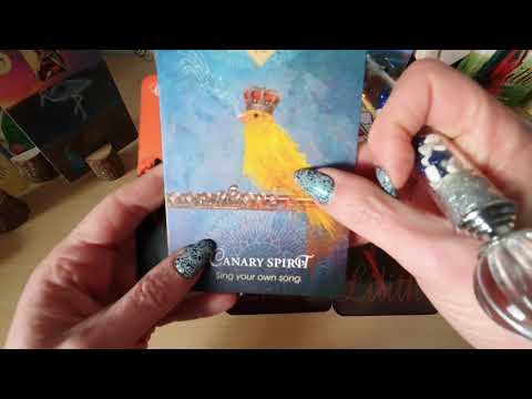 🧚‍♀️🌟 Wochenorakel 20.-26.1. raus aus der Stagnation rein ins Leben 🎉🧚‍♀️