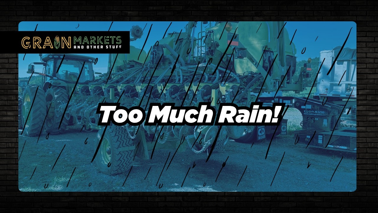 When Will Corn Traders Care About Planting 