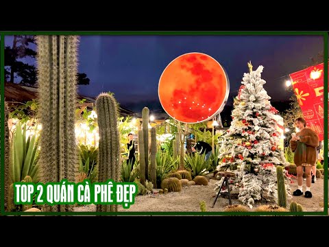 Top 2 quán cà phê đẹp - Cafe Homuda đậm chất Nhật Bản, NEAR Coffee DALAT mang dấu ấn Pháp