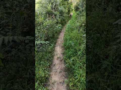 tibaná Boyacá 🍀💚 tierra de paz amor y amistad 🕊️