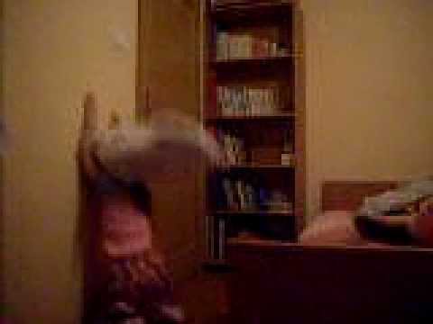 Kopanie siostrą w ścianę