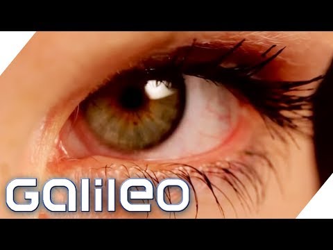 We're deceiving you! How easily can our senses be deceived? | Galileo | ProSieben