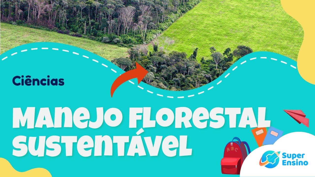 MANEJO FLORESTAL SUSTENTÁVEL | Ciências 5º ano