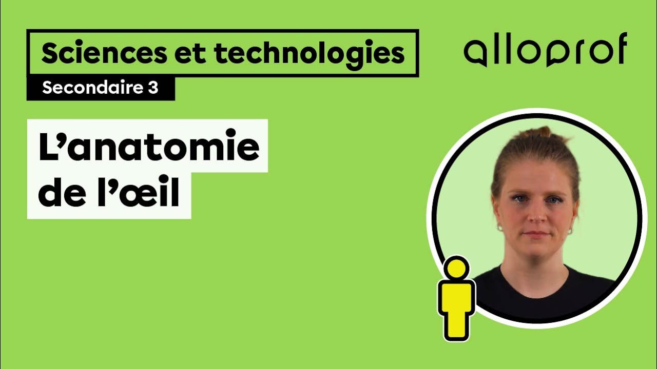 L’anatomie de l'œil