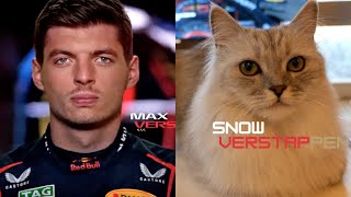【F1 Cat 🏎️】F1 Opening Titles!2023 #snowtube