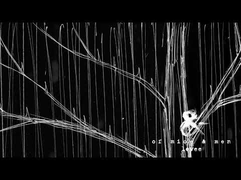 Video thumbnail for Levee