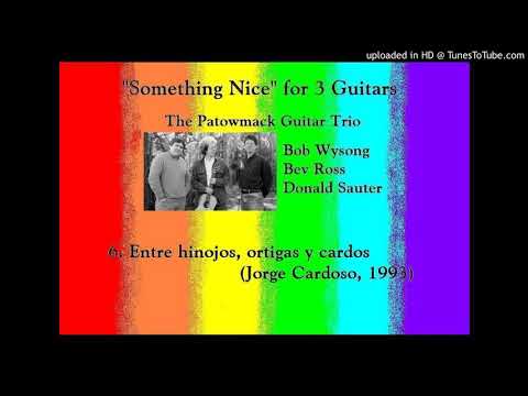 06. Entre hinojos, ortigas y cardos (Jorge Cardoso, 1993) - Patowmack Guitar Trio