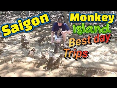 4k 720p Monkey madness just 2 hours from Saigon