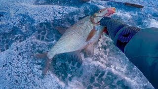 Чертик | Вот и первая зимняя рыбалка 2018 !Нам не страшен мороз трескучий!