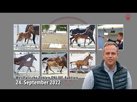 Trailer Fohlen ONLIVE-Auktion 24. September 2022