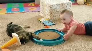 Смешное видео про котов#1✿Забавные дети и кошки.