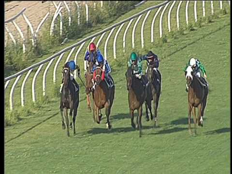 Galoppo 21/06/2017 - 5ª corsa